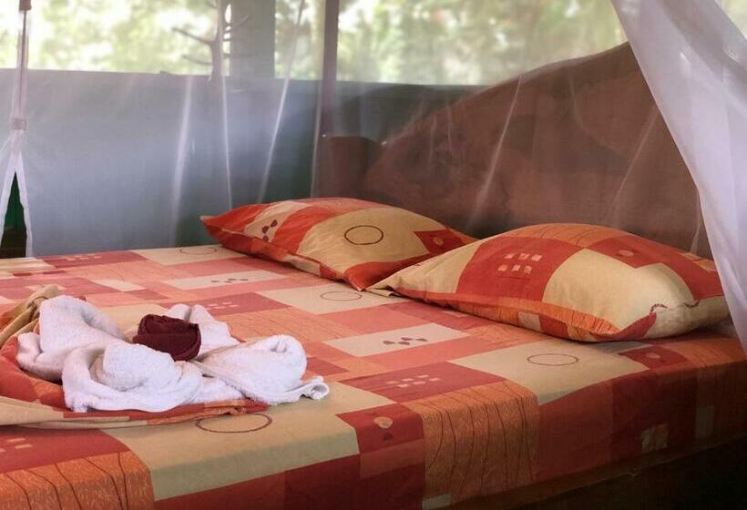 Bed and Breakfast Andrea Cristina