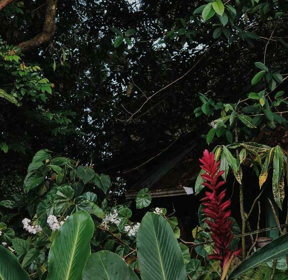 Bed and Breakfast Andrea Cristina