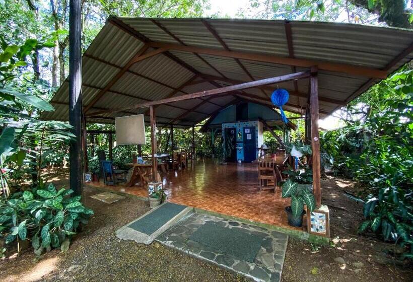 Bed and Breakfast Andrea Cristina