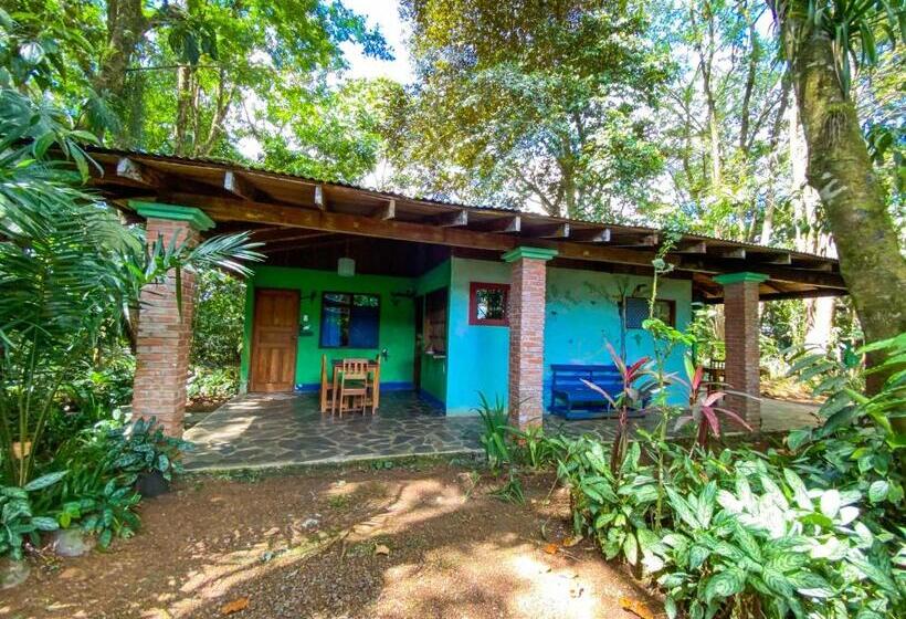 Bed and Breakfast Andrea Cristina