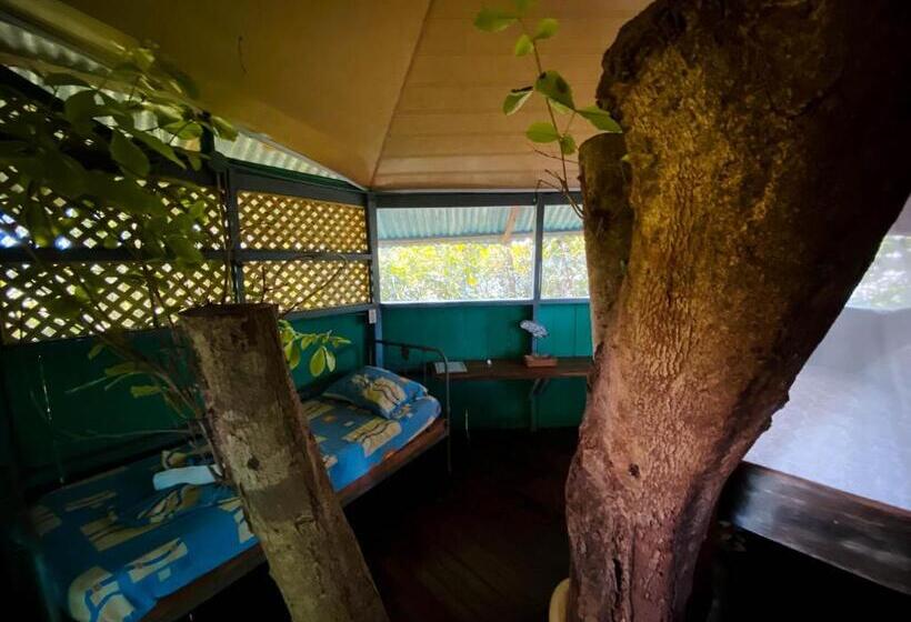 Bed and Breakfast Andrea Cristina