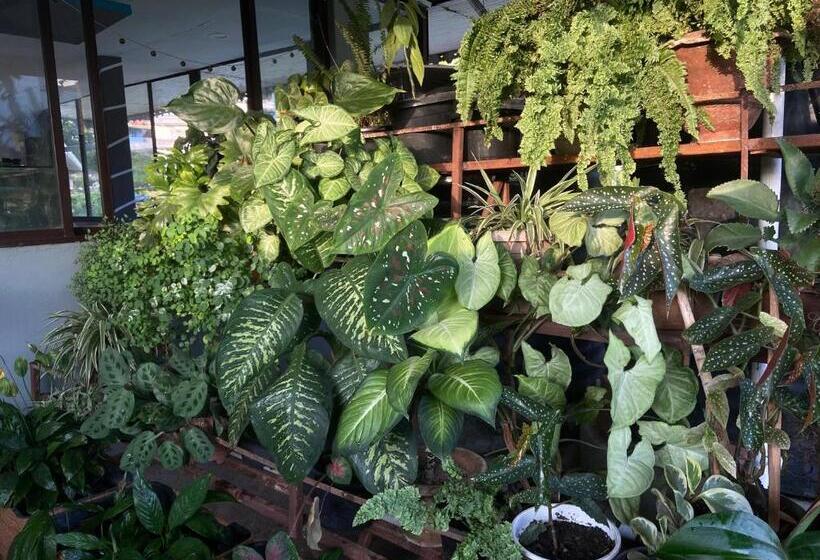 مبيت وإفطار Ashraya Boutique Homestay