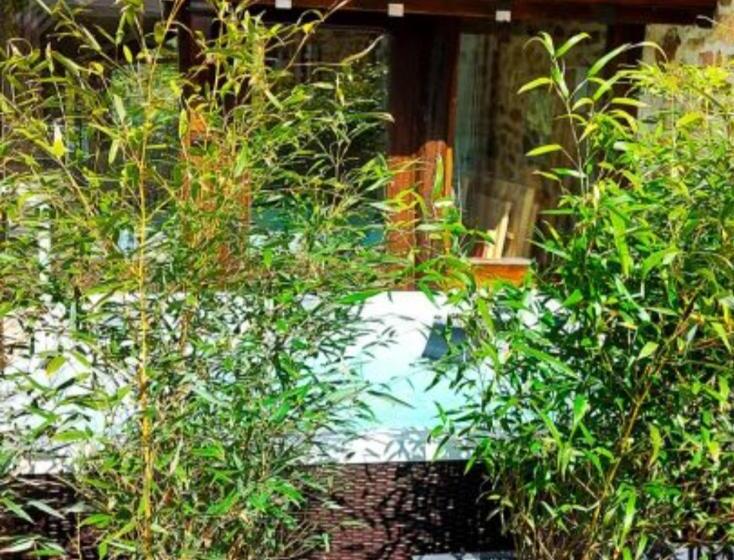 צימר Les 3 Roses