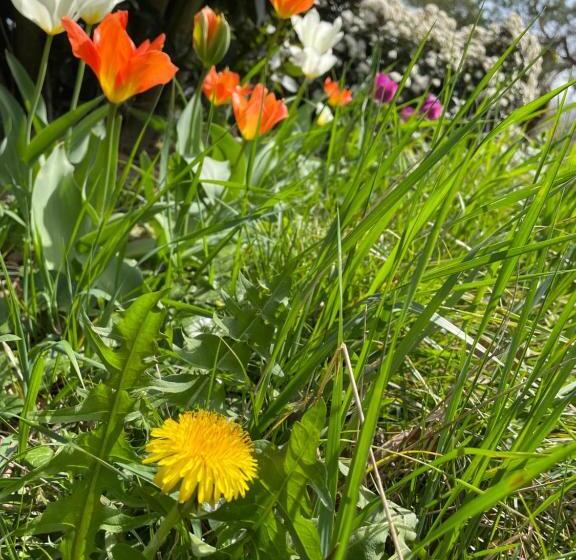 Domaine De Lescout Chambres & Gîtes Spapiscine
