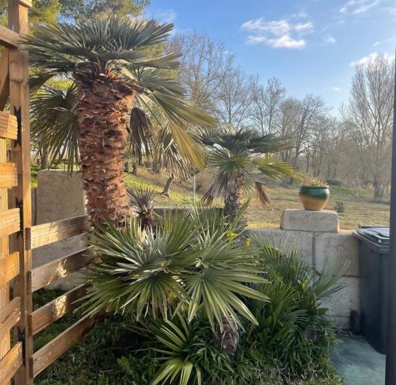 Domaine De Lescout Chambres & Gîtes Spapiscine