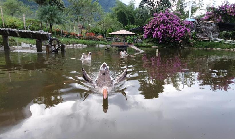 Acantos Hotel Campestre