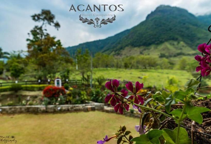 Acantos Hotel Campestre