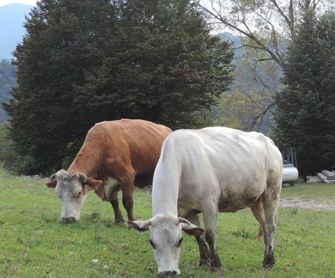 호텔 Agriturismo Il Balcone Sulla Valle