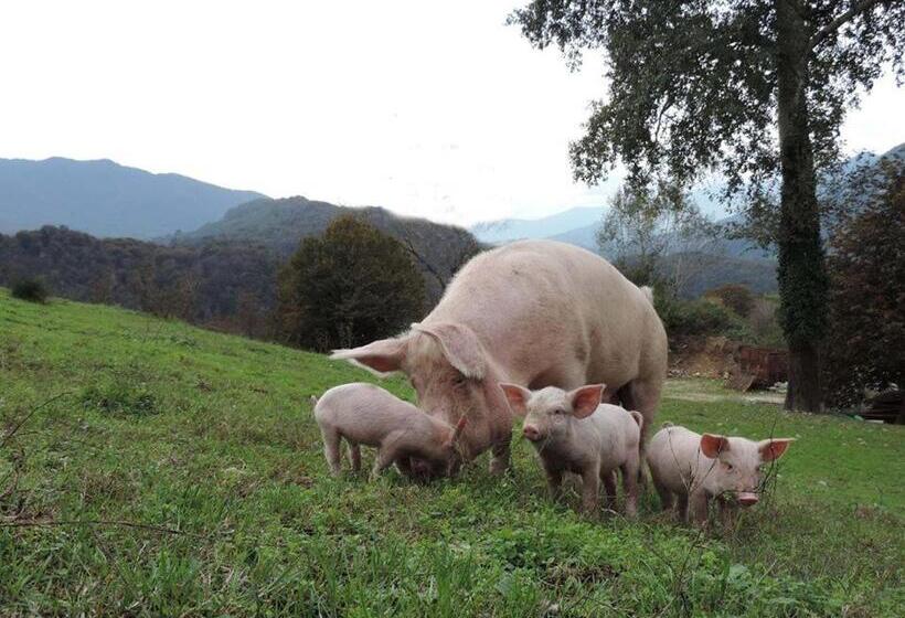 호텔 Agriturismo Il Balcone Sulla Valle