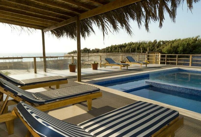 فندق Alas Y Arena