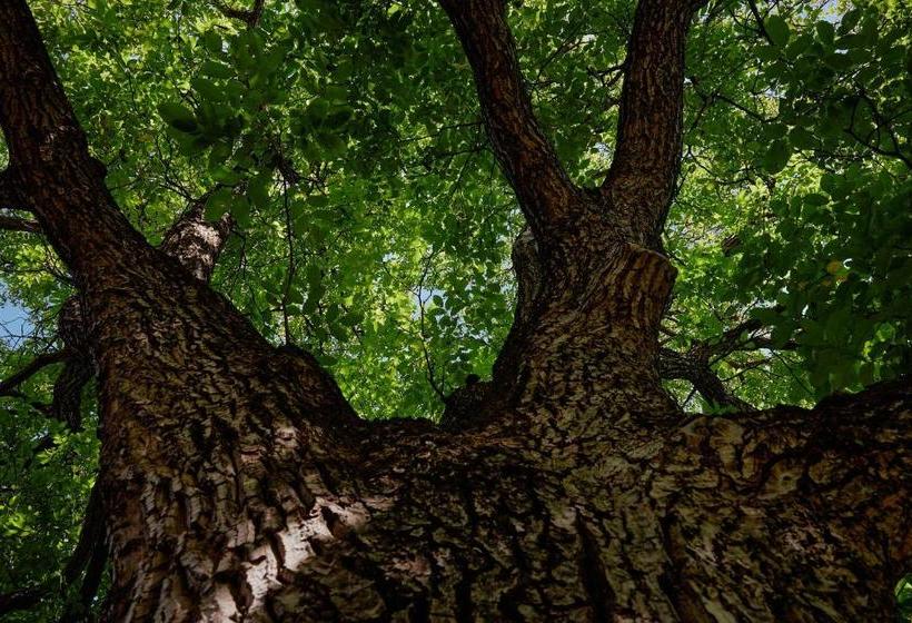 בית מלון כפרי Brückenwirt