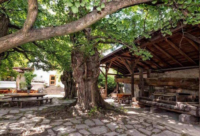 בית מלון כפרי Brückenwirt