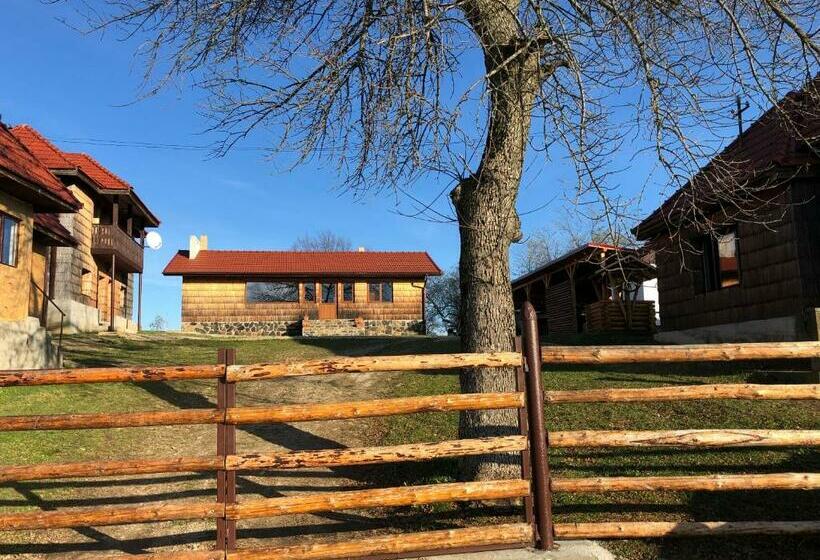 בית מלון כפרי Complex Merisoru De Munte