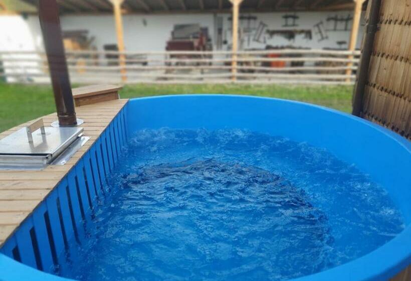 בית מלון כפרי Complex Merisoru De Munte