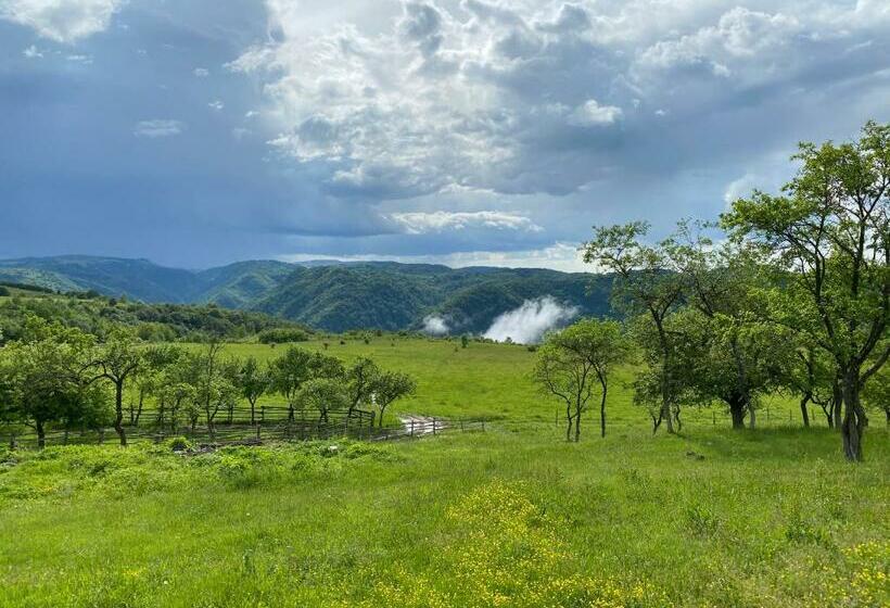 בית מלון כפרי Complex Merisoru De Munte