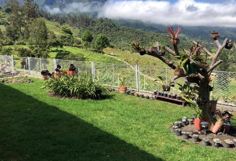 Капсульный Oтель Tarahara Salud Y Bienestar