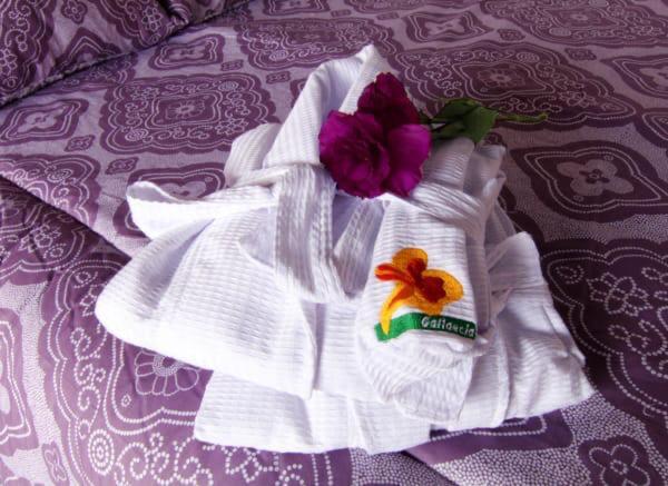 酒店 Gallaecia G&s