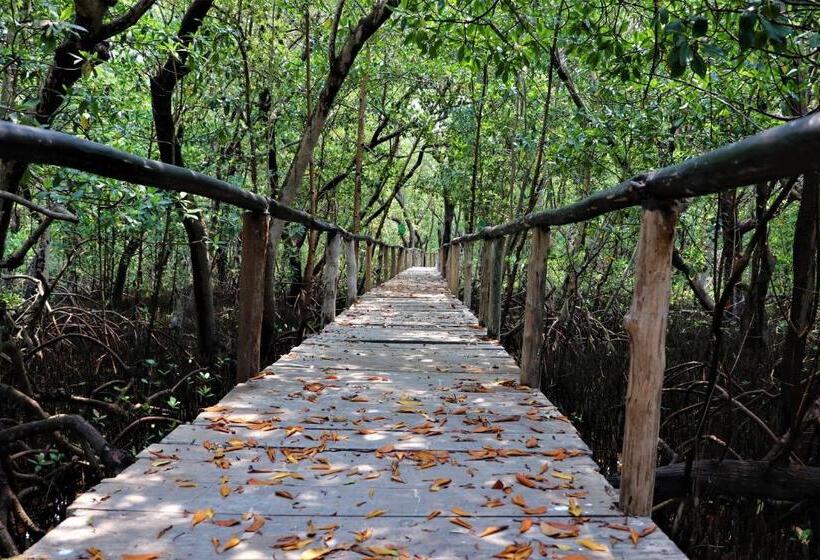 فندق Hospedaje Wotoch Aayin