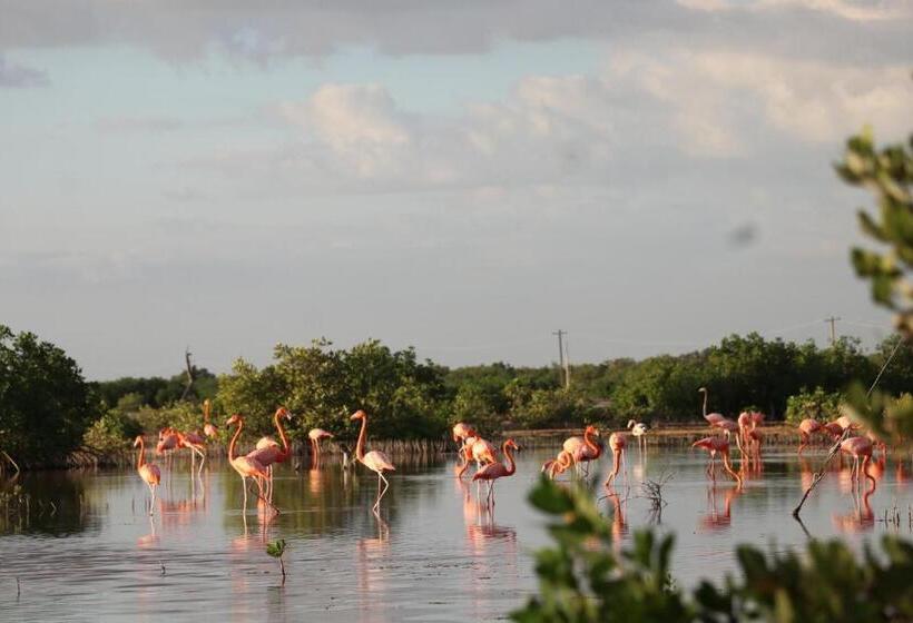 فندق Hospedaje Wotoch Aayin