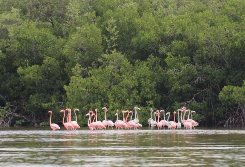 فندق Hospedaje Wotoch Aayin