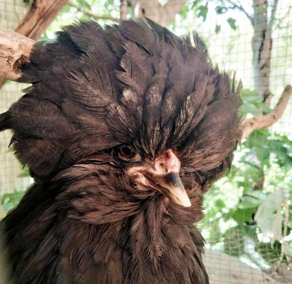 호텔 I Casali Del Buontempo