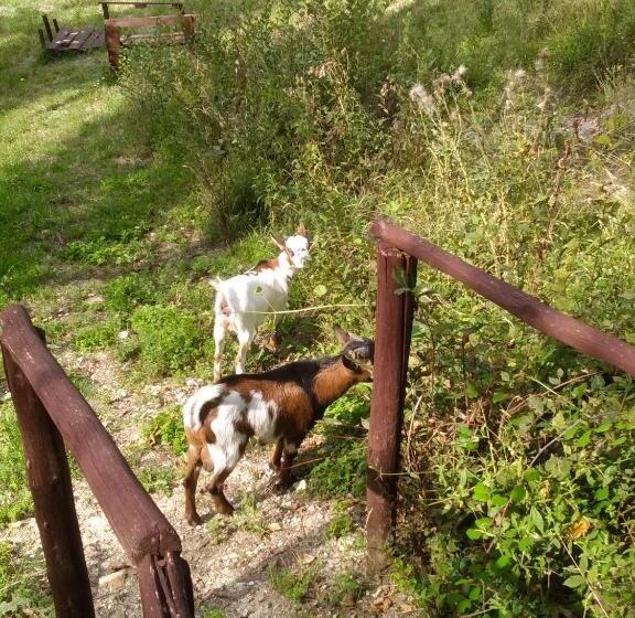 호텔 I Casali Del Buontempo