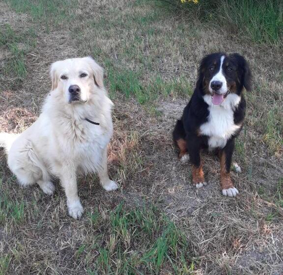 בית מלון כפרי I Casali Del Buontempo