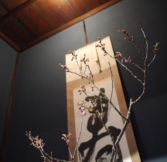 Отель Kachusha Gekko