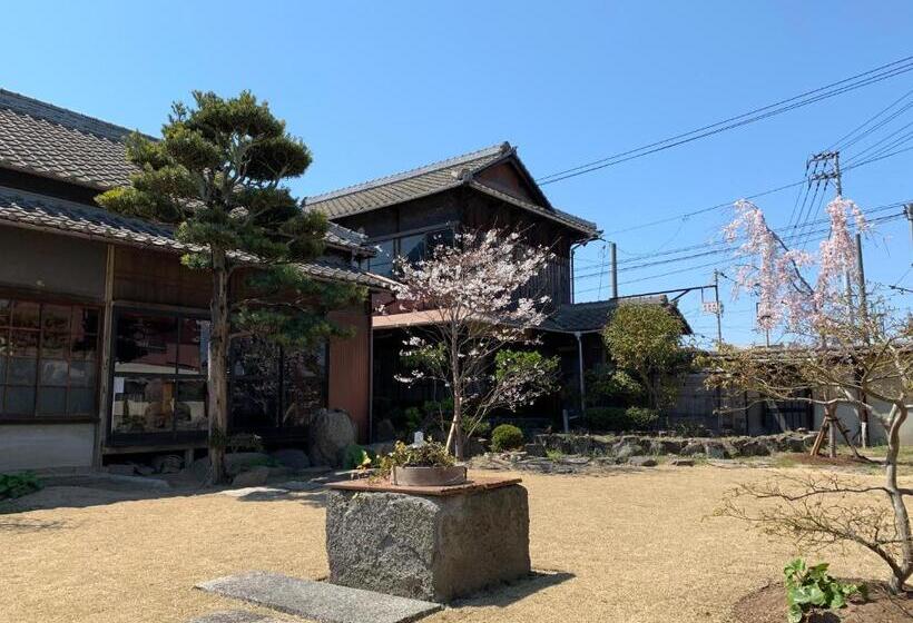 Отель Kachusha Gekko