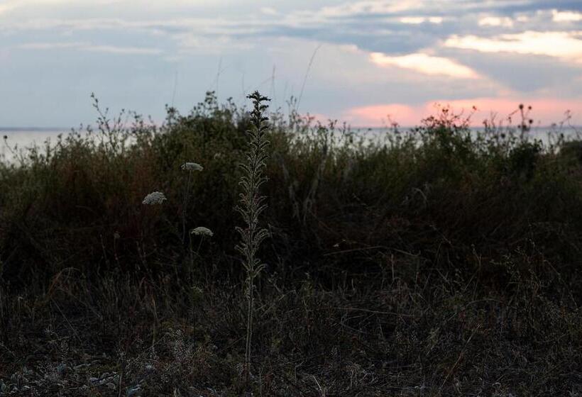 בית מלון כפרי L Persnäs