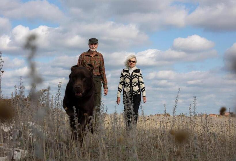 בית מלון כפרי L Persnäs