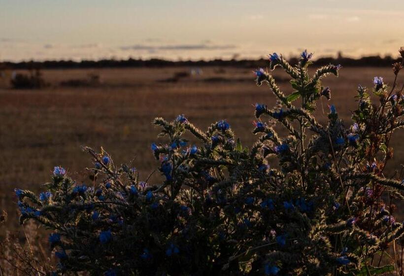 בית מלון כפרי L Persnäs
