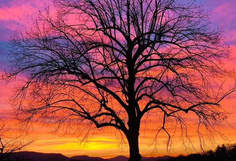 בית מלון כפרי Landgasthof Roderis