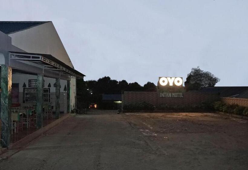 ホテル Oyo 2410 Intan