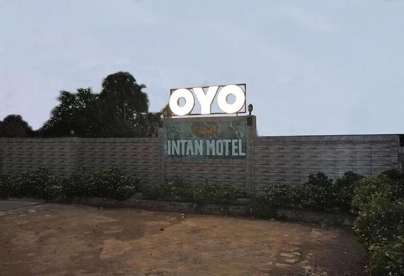 ホテル Oyo 2410 Intan