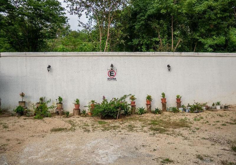 فندق Oyo  Posada San Vicente