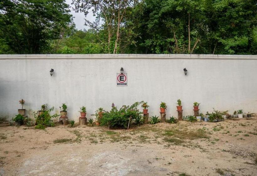 هتل Oyo  Posada San Vicente