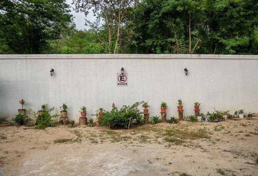 هتل Oyo  Posada San Vicente