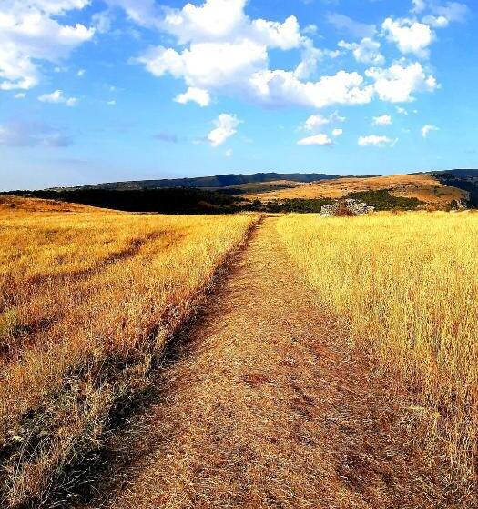 בית מלון כפרי Panorama