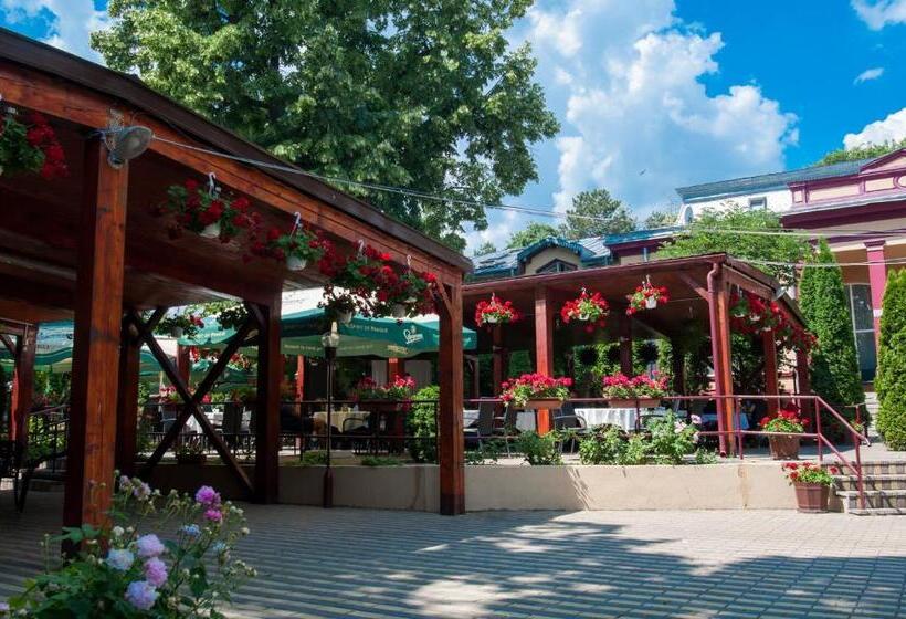 Отель Pensiunea Splendid