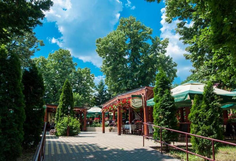 Отель Pensiunea Splendid