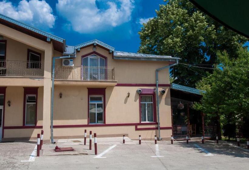 Отель Pensiunea Splendid