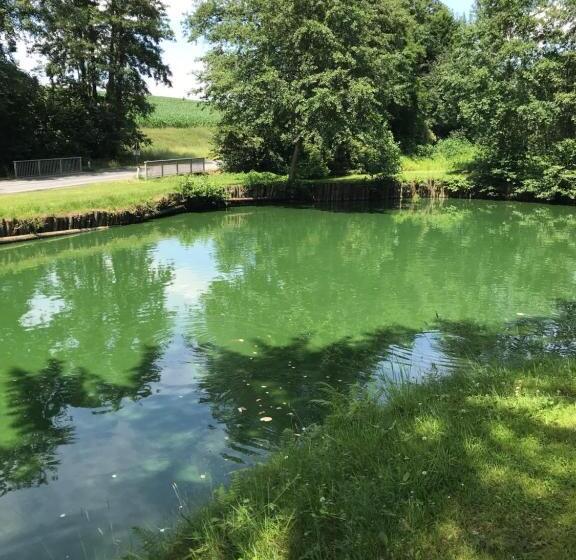 Отель Restaurant Hesch