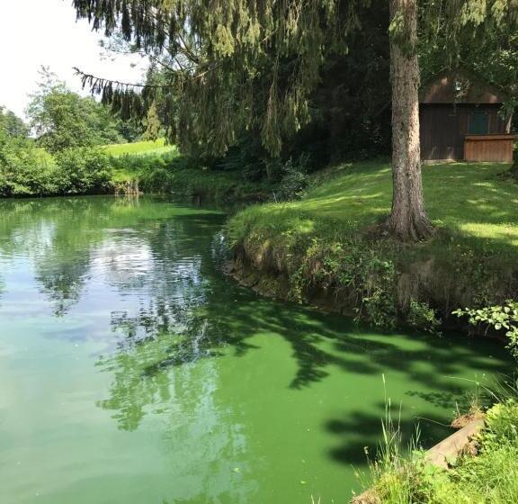 Отель Restaurant Hesch