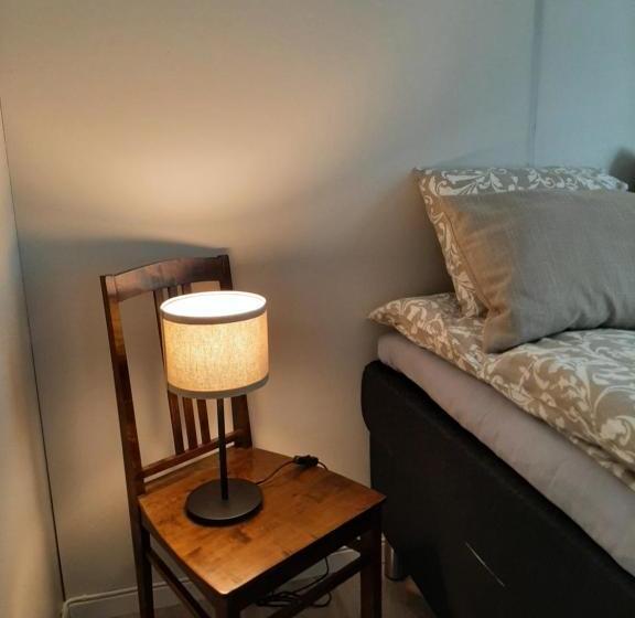 酒店 Saarijärven Ruustinna Oy