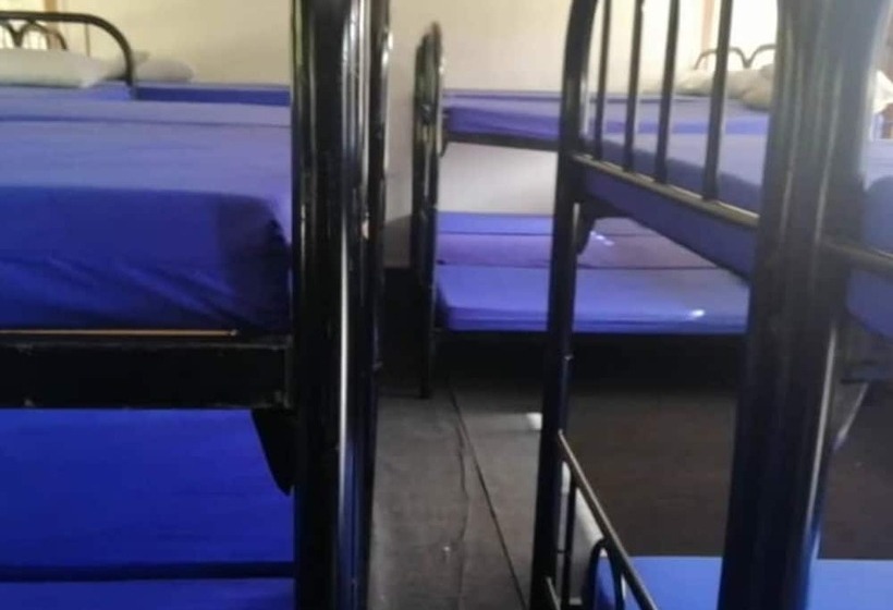 فندق Spot On 90014 Otternest Gunung Pulai 2   Hostel