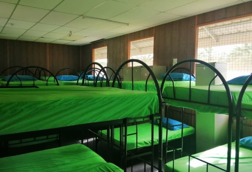 فندق Spot On 90014 Otternest Gunung Pulai 2   Hostel