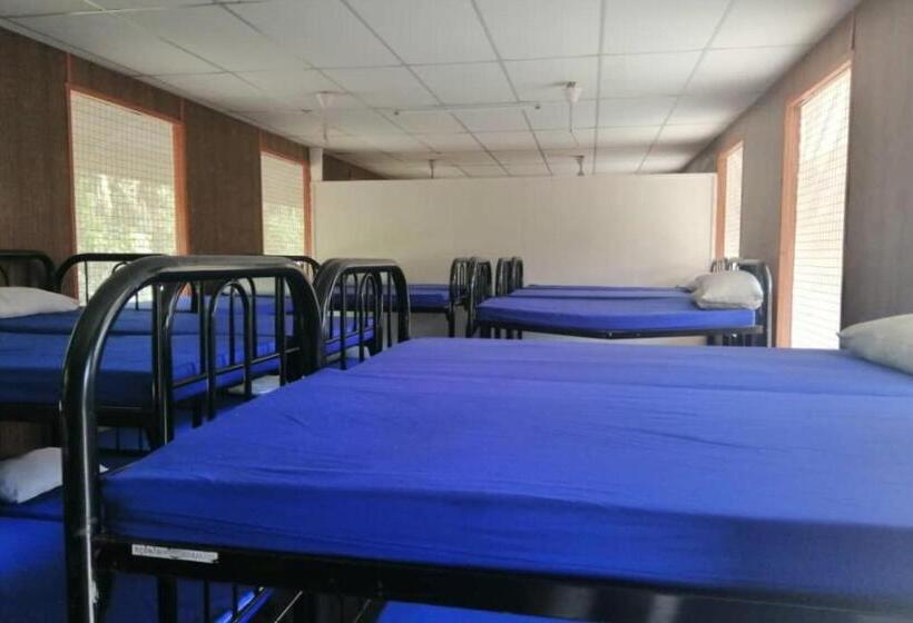 فندق Spot On 90014 Otternest Gunung Pulai 2   Hostel