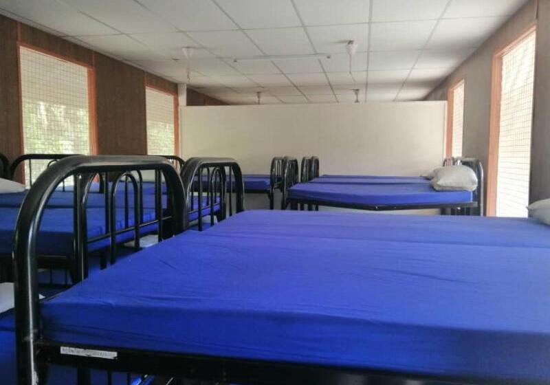 فندق Spot On 90014 Otternest Gunung Pulai 2   Hostel