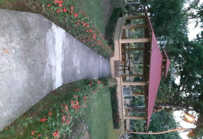 Отель The Place To Enjoy Life